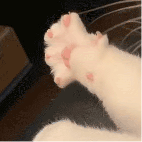 PG���ӡ�(�й���)�ٷ���վ