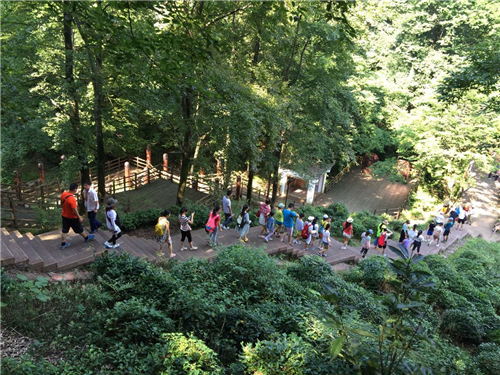 PG电子·(中国游)官方网站