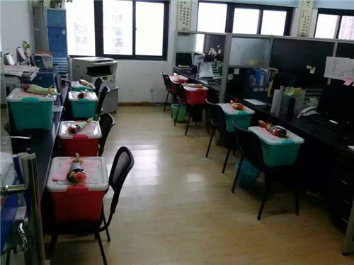 PG���ӡ�(�й���)�ٷ���վ